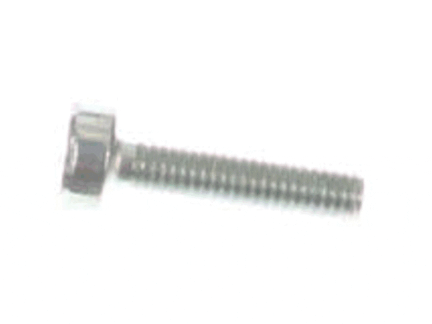 Echo Screw 5X20 - V805000160