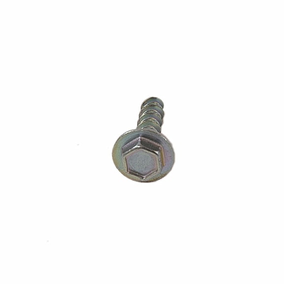 Whirlpool Screw - W10589828