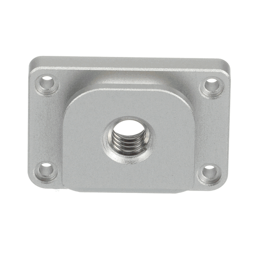 Echo Cover Plate Screw - 16810