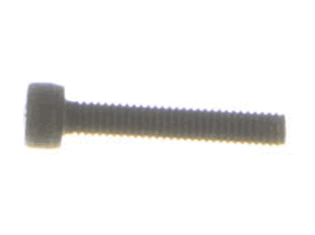 Ryobi Elect. Tools Screw (M4 X 0.7-22 Mm, Hex. So - 079001001074