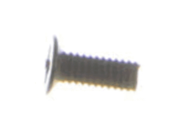 Ryobi Elect. Tools Screw (M4 X 10 Mm) - 089037009046