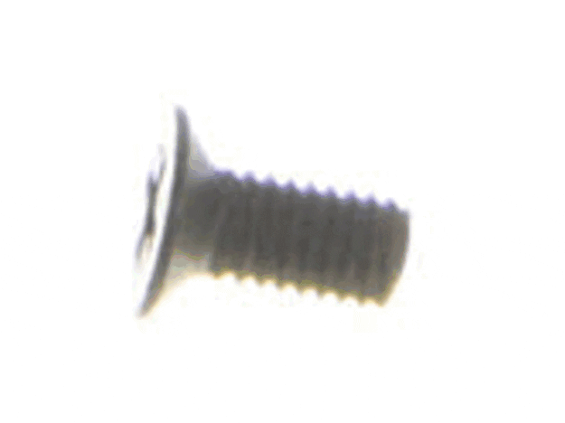 Ryobi Elect. Tools Screw Philips - A16003050100