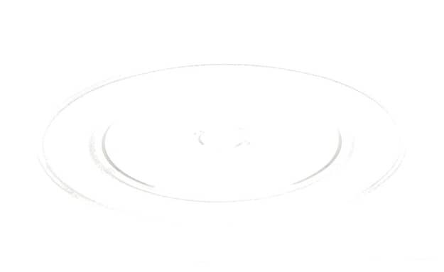 Whirlpool Microwave Turntable Tray - W11373838