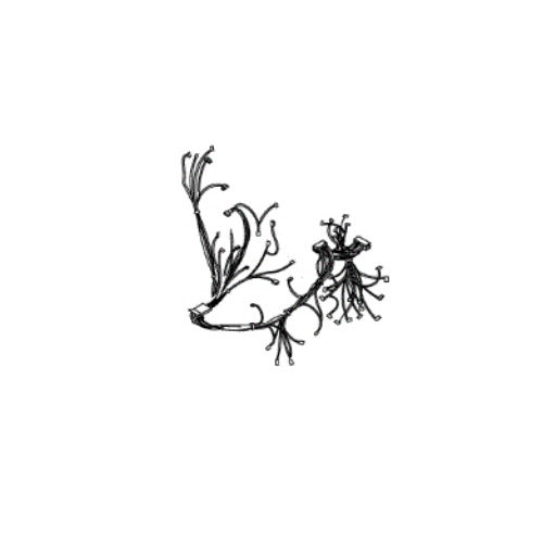 Whirlpool Harns-Wire - W11690649