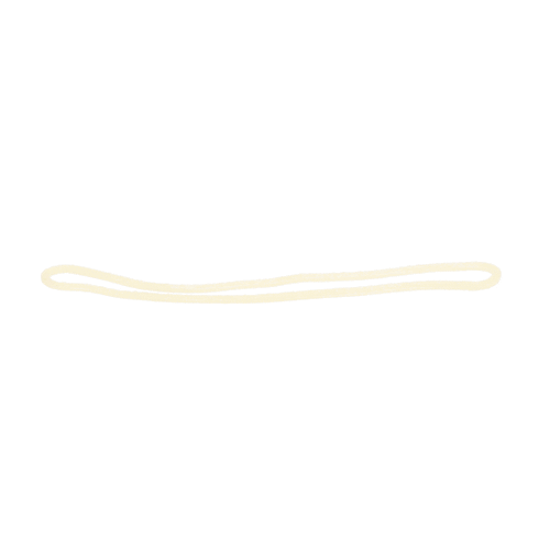 Whirlpool Door Gasket - 2222107