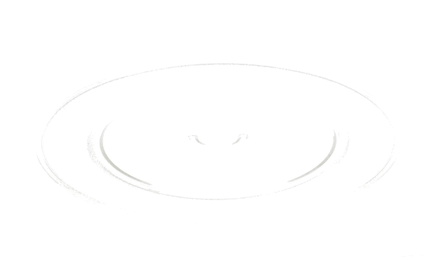 Whirlpool Microwave Turntable Tray - W11373838