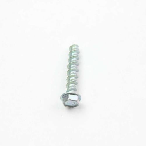 GE Screw 10-16 X 1.000 Hwh - WB01T10066