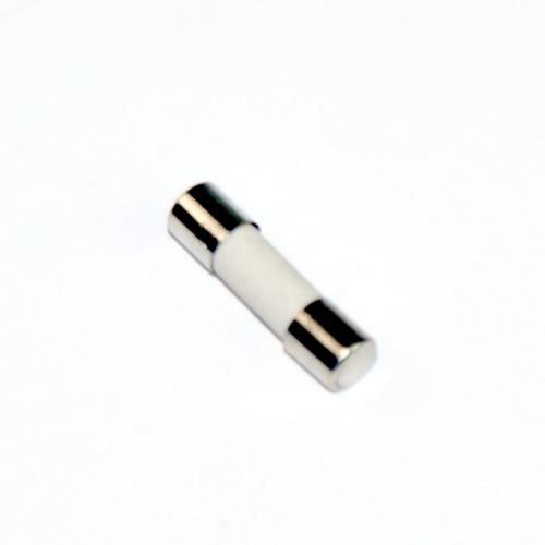 Panasonic Microwave Fuse - F62309V60AP